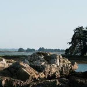 Meet your Posher, Connor